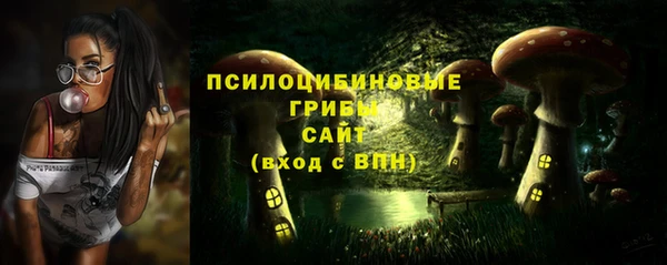 винт Аркадак