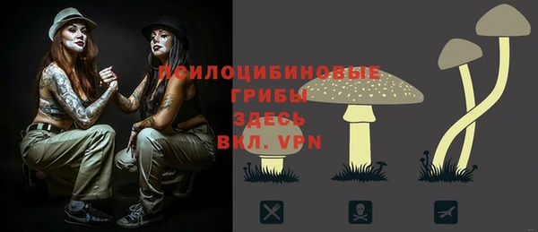 сатива Алзамай
