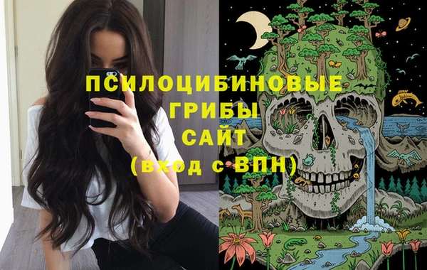 винт Аркадак