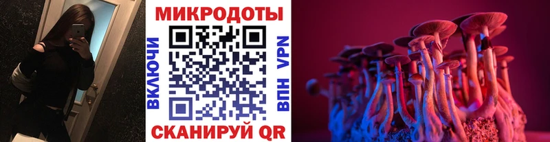 Псилоцибиновые грибы прущие грибы  Купить закладки  Судак 